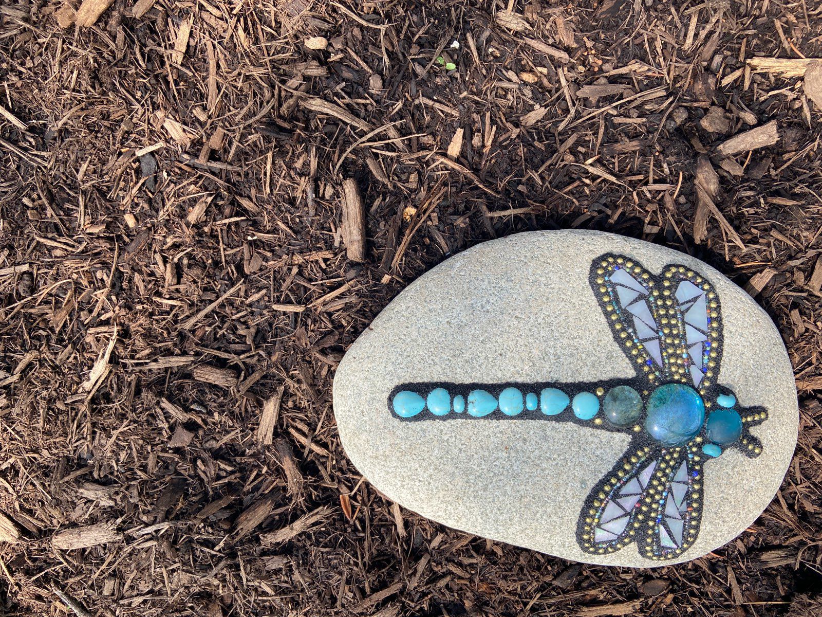 dragonfly